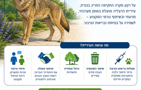 בהרצליה מרגיעים: אין דיווחים על תקיפות תנים בעיר – העירייה יוצאת במהלך מניעה והסברה