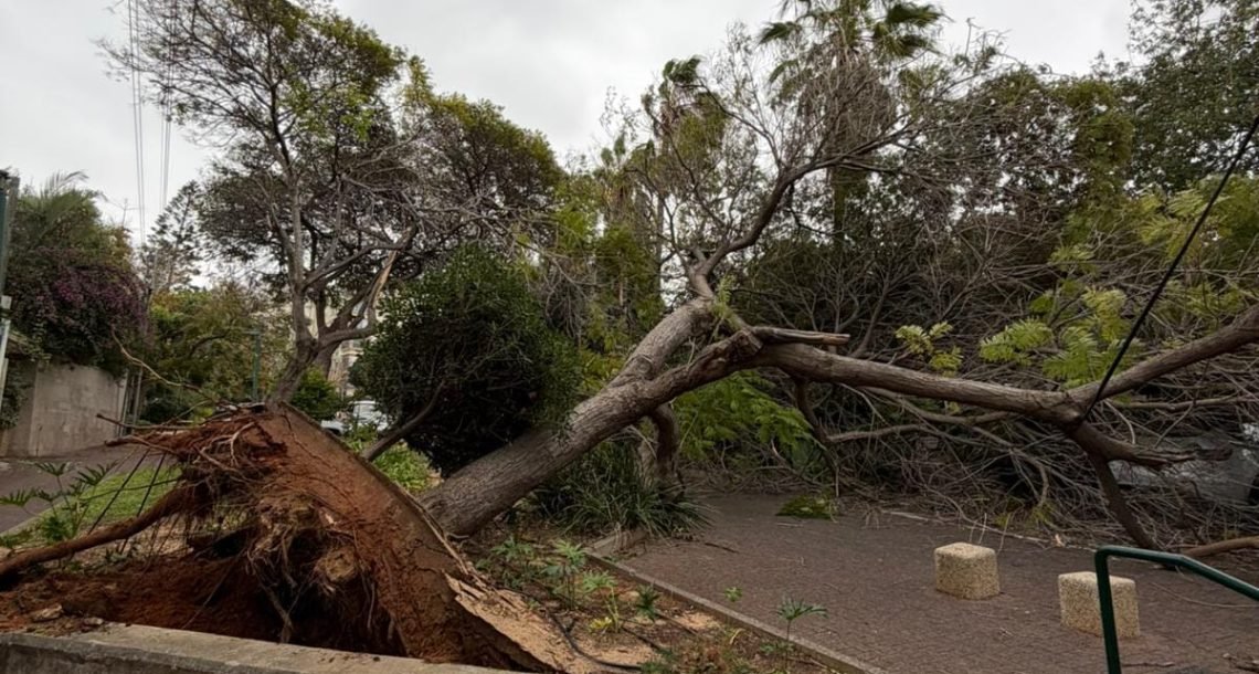מזג אוויר קיצוני: נפילות עצים, הפסקות חשמל ואזהרת סכנת חיים בחופים ובמרינה